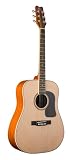 George Washburn Lyon Signature Mahogany Acoustic Guitar PAK
