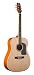 George Washburn Lyon Signature Mahogany Acoustic Guitar PAK