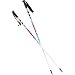 Joystick Koi Ski Pole