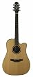 Takamine ETN10C Dreadnought Acoustic-Electric Guitar With Case