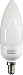 Kitchen & Housewares : Candle - 9w (45W) - Small Screw