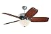 Emerson CF4800PW Premium Indoor Ceiling Fan, 50-Inch or 42-Inch Blade Span, Pewter Finish