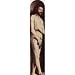 Jan van Eyck (Ghent altar altar of the Mystic Lamb, left wing, top, outer scene: Adam) Art Poster- 13x19 custom fit with RichAndFramous Black 99 inch Poster Hangers