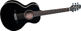 31xUt5taySL. SL160  Takamine G Series EGMINI BK Mini Acoustic Electric Guitar, Black