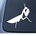 PRAYING MANTIS - Insect Bug - Car, Truck, Notebook, Vinyl Decal Sticker #1180 | Vinyl Color: White