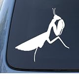 PRAYING MANTIS - Insect Bug - Car, Truck, Notebook, Vinyl Decal Sticker #1180 | Vinyl Color: White