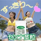 健康応援団　30日分　センナ茎粒　（120粒）　（すっきり快調）