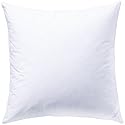 Billerbeck 5452890001 Daunenkissen Iglu Kissen I, 80 / 80 cm silber