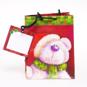 31xVfKbNolL Teddy Bear Christmas Gift Bag