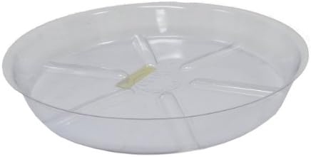 Misco CS7 Clear Plastic Saucer, 7-Inch, Clear