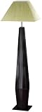 Deco Breeze Morrison Floor Lamp