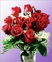 12 Valentine's Day Red Long Stemmed Roses