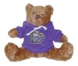 Louisiana State LSU Tigers NCAA Hoodie Bear