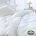 31xWuP1CQVL. SL75  Types and Styles of Comforter Sets