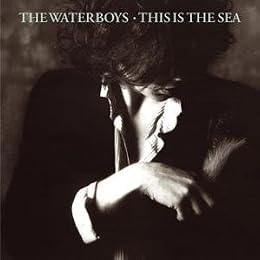The Waterboys Foto 4