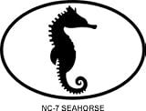 SEAHORSE Oval Bumper Sticker
