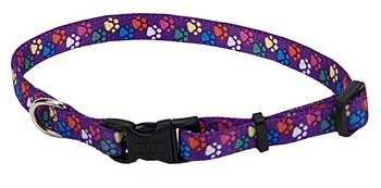 Nylon Adj Collar Special Paw 3 8
