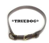 1 Inch Hand Stitched English Bridle Leather Collar 22 Inch