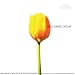 Concerti for 4 Treble Recorders and Basso continuo: Concerto No. 3 in G major, Op. 19: II. Adagio