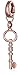 Fossil Glitz Key Charm