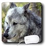 WhiteOak Photography Wolves - Wolf - Mouse Pads