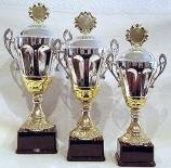 Henkel-Gro&szlig;pokal - Profi Pokale