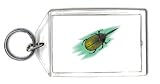 Keychain with bug, insect, beetle, hercules