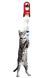 JW Pet Company Spring String Cat Toy