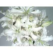 Parade of White Lilies, Sympathy Flowers