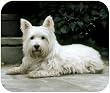 Westie West Highland Terrier On Porch Dog Puppy Mouse Pad MousePad