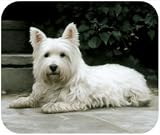Westie West Highland Terrier On Porch Dog Puppy Mouse Pad MousePad