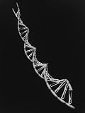 Model of Segment of Dna Molecule Which Governs Heredity Photographic Poster Print, 12x16