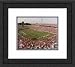 Framed Scott Stadium Virginia Cavaliers Photograph