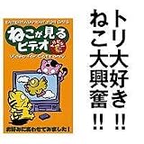ねこが見るビデオ　トリだけ！