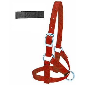 Alpaca Halter, 5/8 Large Red
