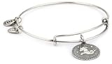 Alex and Ani "Bangle Bracelet Bar" Russian Silver-Plated Capricorn Bangle Bracelet