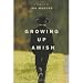Books : Growing up Amish: A Memoir