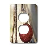 Patricia Sanders Christmas - Red Christmas Tree Ornament on a Limb- Photography - Light Switch Covers - 2 plug outlet cover