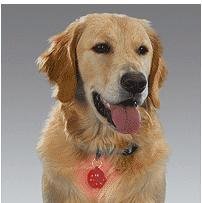 Guardian Gear Flashing Pawprint Shaped ID Tags (Collar Light)