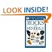 Rocks and Minerals (DK Handbooks)