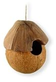 Nature's Instinct Coco House for Wild Birds