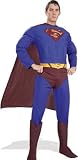 888019L Adult Dx. Supermanの画像