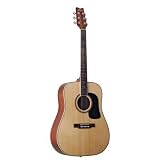 Washburn D10 Series Acoustic Guitar (Natural)