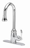 Kitchen Faucet LuxExclusive Pull Finish: BFN160-01-TB