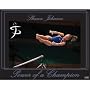 Shawn Johnson Champion Poster