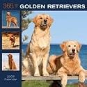 365 Days of Golden Retrievers 2009 Wall Calendar