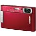 Bundle: Sony T300 Red Digital Camera+ Hard Case+2GB MS Pro Duo