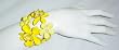 Sunshine Yellow Flower Bracelet