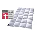 Billerbeck Alina 302 Kassette II Daunendecke (155x220 cm)