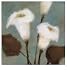 (11x14) Onan Balin Purity Art Print Poster